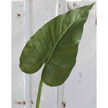 Artificial calla leaf FRANSCHESKA, green, 28"/70cm Artificial calla leaf FRANSCHESKA, green, 28"/70cm
