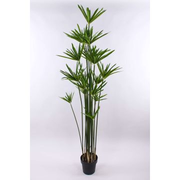 Plastic cyperus papyrus grass ZAHIR, green, 6ft/180cm
