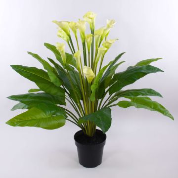 Artificial flower Zantedeschia LAURENCE, white, 4ft/130cm, 3.1"x5.1"/8x13cm Artificial flower Zantedeschia LAURENCE, white, 4ft/130cm, 3.1"x5.1"/8x13cm