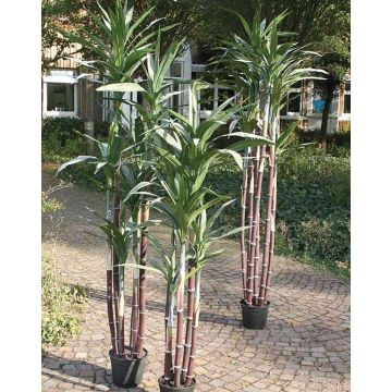 Plastic sugar cane ENYO, green, 7ft/210cm