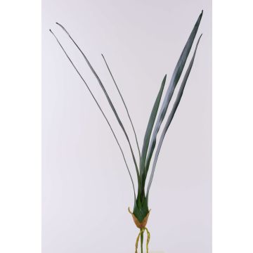 Artificial Cymbidium orchid leaves AURICA, aerial roots, 28"/70cm Artificial Cymbidium orchid leaves AURICA, aerial roots, 28"/70cm