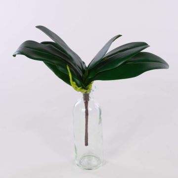 Artificial Phalaenopsis orchid leaves DAPHI, aerial roots, 14"/35cm
