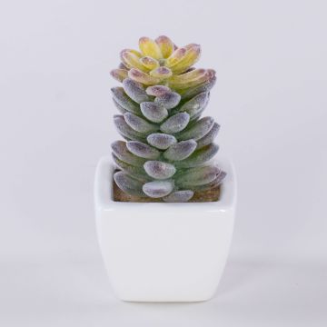 Artificial pachyphytum oviferum ROBBIE, ceramic pot, green, 5.1"/13cm