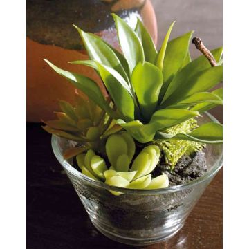 Artificial succulent arrangement TIMOTHY in glass, green, 7.1"/18cm