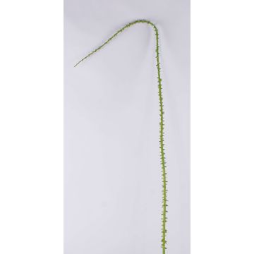 Decorative rose thorn branch ALOISA, green-brown, 6ft/180cm