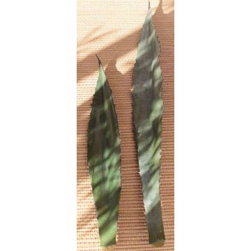 Artificial Aeonium leaf CALVINE, 4ft/110cm