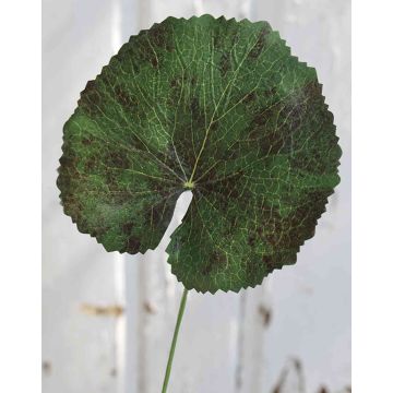 Artificial Geranium Leaf HEIDEGARD, green-red, 15"/38cm, Ø5.1"/13cm Artificial Geranium Leaf HEIDEGARD, green-red, 15"/38cm, Ø5.1"/13cm