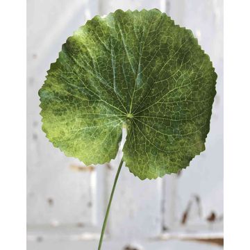 Artificial Geranium Leaf HEIDEGARD, green, 15"/38cm, Ø5.1"/13cm Artificial Geranium Leaf HEIDEGARD, green, 15"/38cm, Ø5.1"/13cm