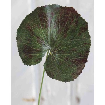Artificial Geranium Leaf HEIDEGARD, green-red, 15"/38cm, Ø4.3"/11cm Artificial Geranium Leaf HEIDEGARD, green-red, 15"/38cm, Ø4.3"/11cm