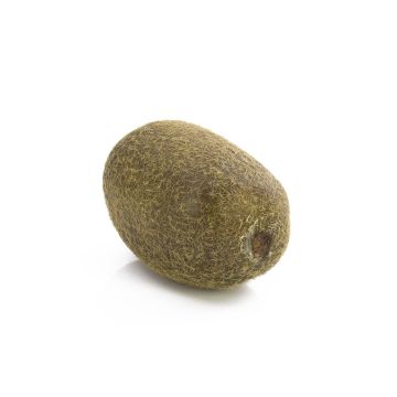 False kiwi MIRAITA, green, 2.4"/6cm, Ø1.8"/4,5cm False kiwi MIRAITA, green, 2.4"/6cm, Ø1.8"/4,5cm