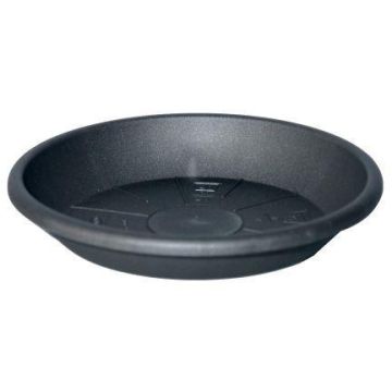 Round planter coaster DONIKA made of plastic, with holes, anthracite, 2.4"/6cm, Ø17"/44cm Round planter coaster DONIKA made of plastic, with holes, anthracite, 2.4"/6cm, Ø17"/44cm
