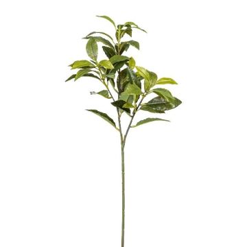 Artificial bay laurel branch KROVAN, green, 26"/65cm Artificial bay laurel branch KROVAN, green, 26"/65cm