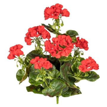 Decorative flower Geranium DOLKREN, spike, crossdoor, red, 16"/40cm