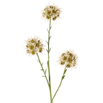 Artificial Allium branch ZEBU, cream, 65cm, Ø7cm