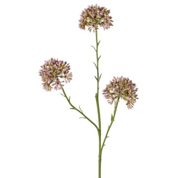 Decorative allium branch ALIKIO, purple, 65cm, Ø7cm