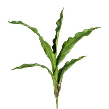 Artificial leaves, Cymbidium orchid VERKLIN, support stick, aerial roots, 22"/55cm Artificial leaves, Cymbidium orchid VERKLIN, support stick, aerial roots, 22"/55cm