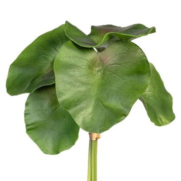 Decorative water lily leaves LIRVA, 5 pieces, green, 11"/27cm