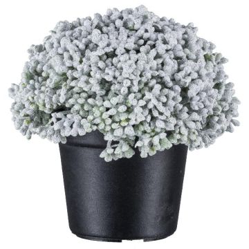 Artificial succulent Sedum telephium NUKEF, white, 3.9"/10cm Artificial succulent Sedum telephium NUKEF, white, 3.9"/10cm
