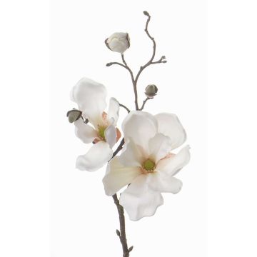 Artificial magnolia spray MALBINE, cream, 20"/50cm, Ø2.4"-4"/6-10cm