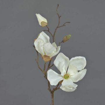 Artificial magnolia spray MALBINE, cream, 20"/50cm, Ø2.4"-4"/6-10cm