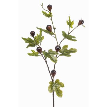 Decorative fig branch PROWER with fruit, green, 35"/90cm