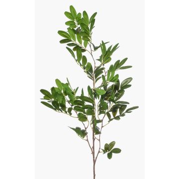 Decorative Pistachio Branch WEXTOR, green, 90cm