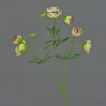 Fake ranunculus YARIS, green-pink, 26"/65cm, Ø1.2"-1.8"/3-4,5cm Fake ranunculus YARIS, green-pink, 26"/65cm, Ø1.2"-1.8"/3-4,5cm