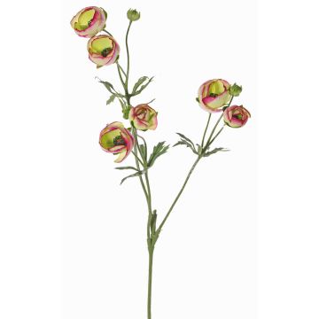 Fake ranunculus YARIS, green-pink, 26"/65cm, Ø1.2"-1.8"/3-4,5cm