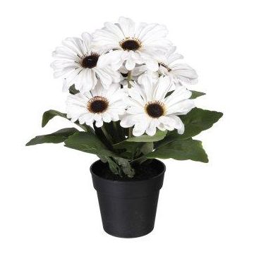Artificial flower Gerbera KROLVEN in black decorative pot, cream, 11"/27cm Artificial flower Gerbera KROLVEN in black decorative pot, cream, 11"/27cm