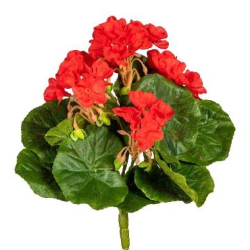 Decorative flower Geranium CRONVEL, spike, crossdoor, red, 10"/25cm Decorative flower Geranium CRONVEL, spike, crossdoor, red, 10"/25cm
