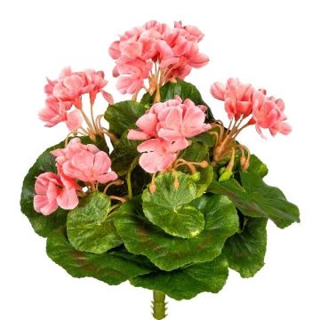 Decorative flower Geranium CRONVEL, spike, crossdoor, pink, 10"/25cm Decorative flower Geranium CRONVEL, spike, crossdoor, pink, 10"/25cm