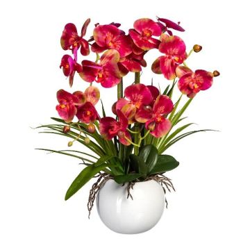 Artificial flower arrangement: Phalaenopsis orchid TRALFEN with grass, ceramic pot, roots, fuchsia-green, 24"/60cm Artificial flower arrangement: Phalaenopsis orchid TRALFEN with grass, ceramic pot, roots, fuchsia-green, 24"/60cm