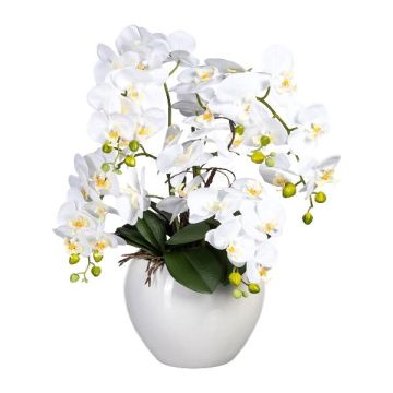 Artificial Phalaenopsis orchid arrangement WEMBER with corkscrew willow, ceramic pot, roots, white, 55cm