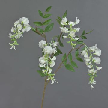 Artificial wisteria spray SOULA with blossoms, white, 31"/80cm Artificial wisteria spray SOULA with blossoms, white, 31"/80cm