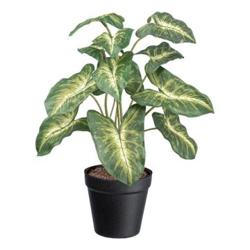 Decorative plant Syngonium GLOHEN, decorative pot, green and yellow, 16"/40cm
