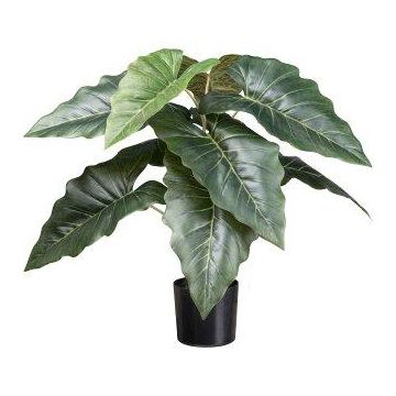 Artificial plant: Colocasia ZORHEL, green, 26"/65cm Artificial plant: Colocasia ZORHEL, green, 26"/65cm
