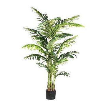 Artificial palm tree Kentia TIBERI, 5ft/160cm