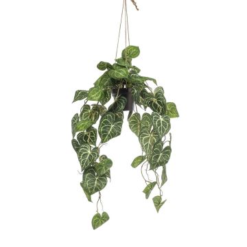Artificial anthurium hanging basket MORGANE, decorative pot, green, 31"/80cm Artificial anthurium hanging basket MORGANE, decorative pot, green, 31"/80cm