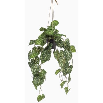 Artificial anthurium hanging basket URCO, decorative pot, green, 31"/80cm