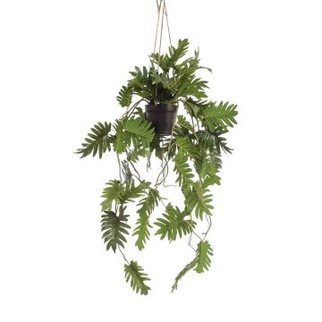 Decorative Philodendron Selloum hanging basket URCO, decorative pot, 31"/80cm