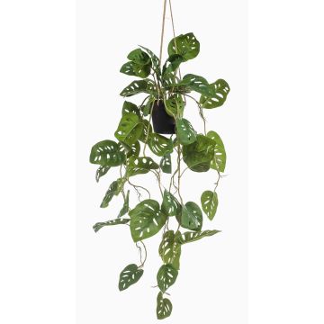 Decorative Philodendron Monstera Deliciosa hanging basket URCO, decorative pot, 31"/80cm