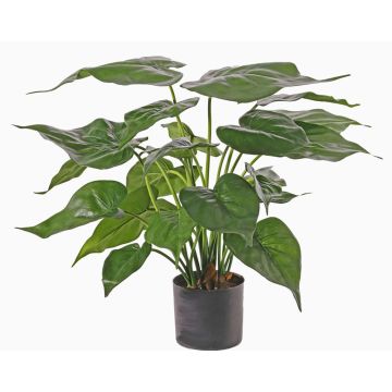Artificial Alocasia Cucullate AROA, green, 20"/50cm Artificial Alocasia Cucullate AROA, green, 20"/50cm