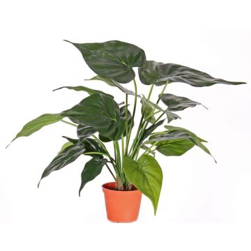 Artificial Alocasia Cucullate AROA, green, 20"/50cm