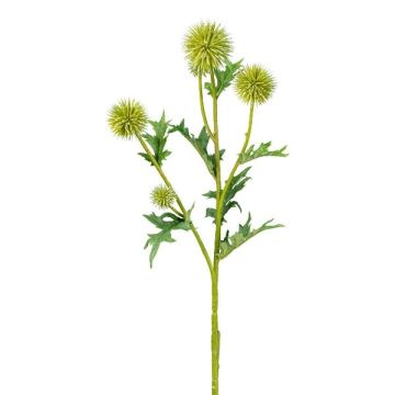 Artificial branch Globe thistle LUNVEN, green, 28"/70cm Artificial branch Globe thistle LUNVEN, green, 28"/70cm