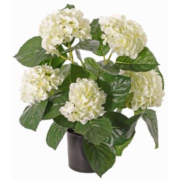 Artificial flower hydrangea TEMARI, cream, 16"/40cm, Ø3.9"-4.7"/10-12cm Artificial flower hydrangea TEMARI, cream, 16"/40cm, Ø3.9"-4.7"/10-12cm
