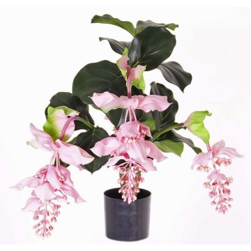 Artificial medinilla bush LAILANI, pink, 31"/80cm, Ø8"/20cm