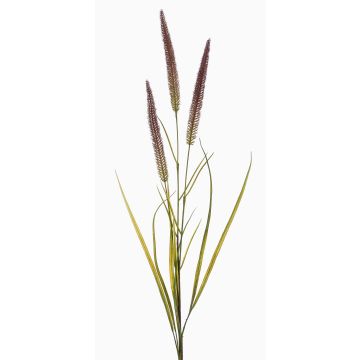 Decorative foxtail branch TALOR with panicles, brown-green, 33"/85cm
