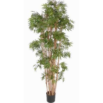 Artificial bamboo NARO, real trunks, 5ft/150cm Artificial bamboo NARO, real trunks, 5ft/150cm
