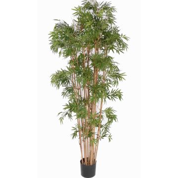 Fake bamboo NARO, 3.360 leaves, green, 7ft/210cm Fake bamboo NARO, 3.360 leaves, green, 7ft/210cm