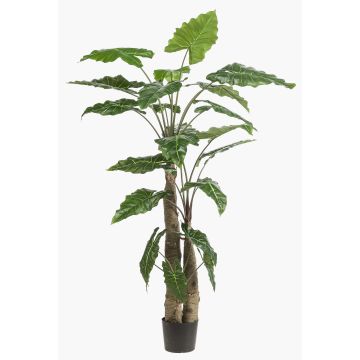 Artificial Alocasia Sanderiana ALBULA, green, 6ft/180cm